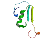 Na+/K+ Transporting ATPase Interacting Protein 3 (NKAIN3)